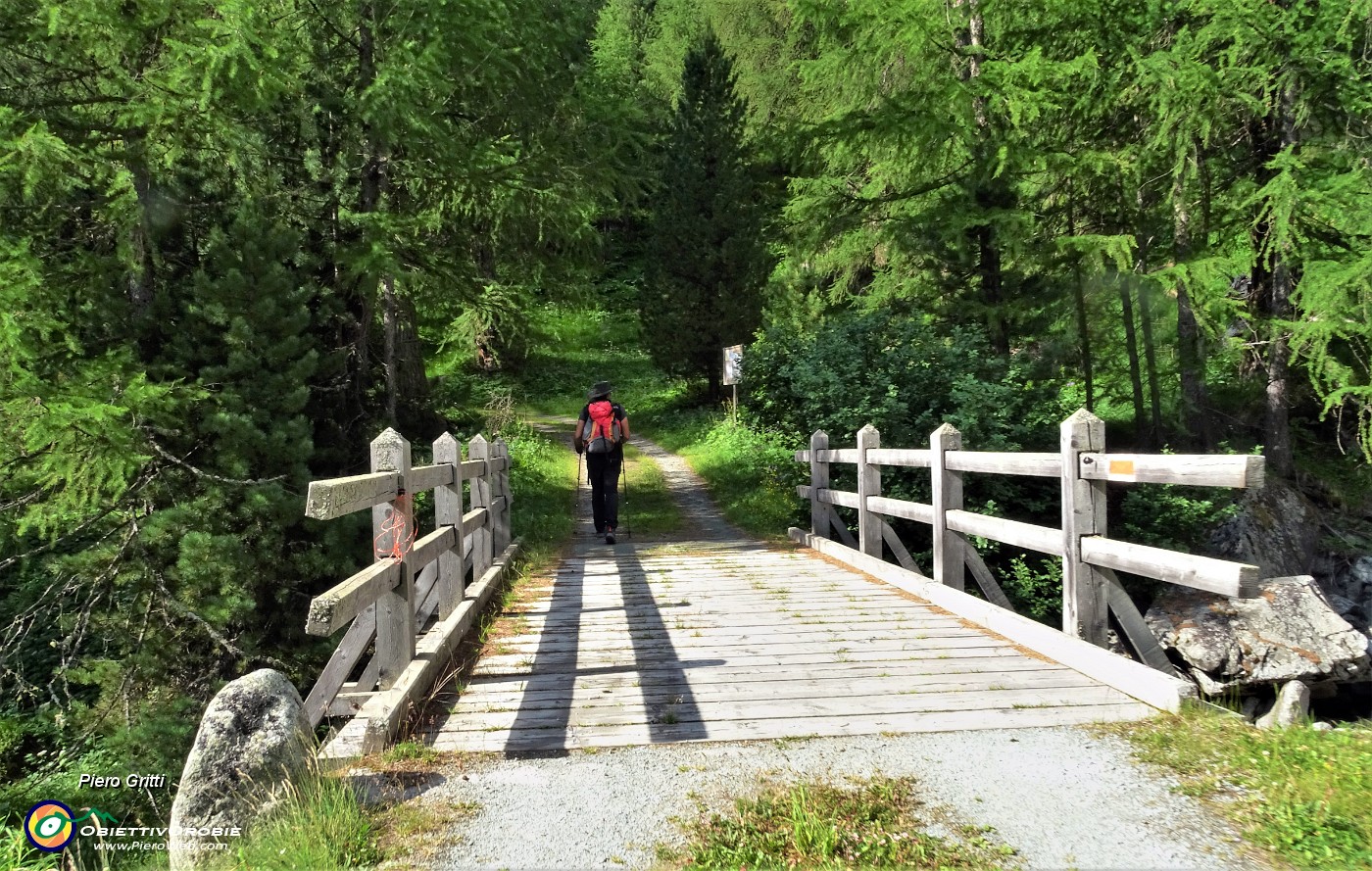 07 Siamo sulla 'Via Engidina' per i laghi Lej da la Tscheppa e Lagrev .JPG -                                